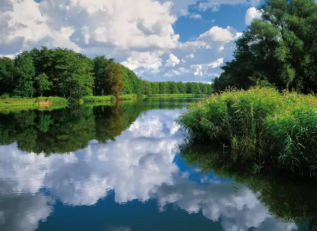 im Urlaub in Vorpommern eine Wasserwanderung auf der Peene machen