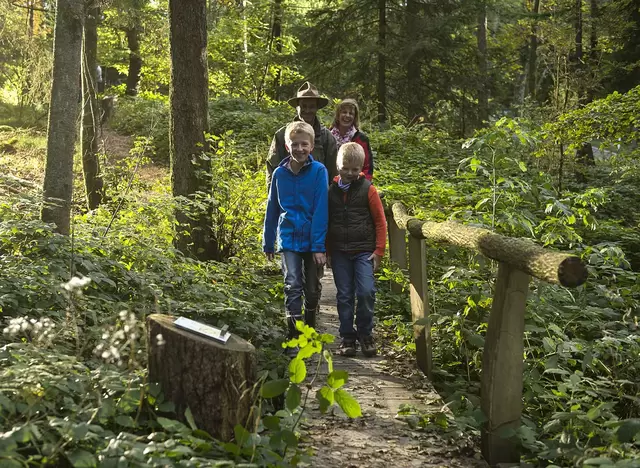 im Urlaub auf dem Bauernhof in Siegen Wittgenstein eine Wandertour mit der Familie auf dem Rothaarsteig unternehmen