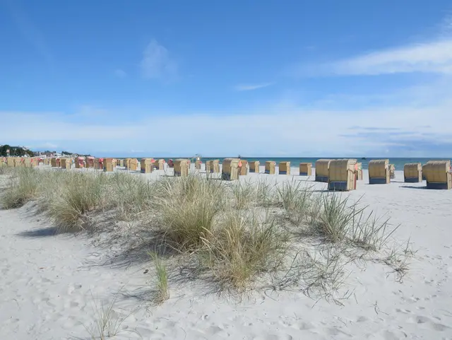 Strandkörbe stehen am Sandstrand im Ostseebad Grömitz, Schleswig-Holstein, im Vordergrund Strandhafer