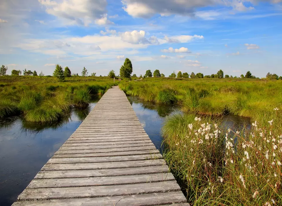 im Urlaub in der Eifel das Hochmoor Hohe Venn zwischen Deutschland und Belgien besuchen