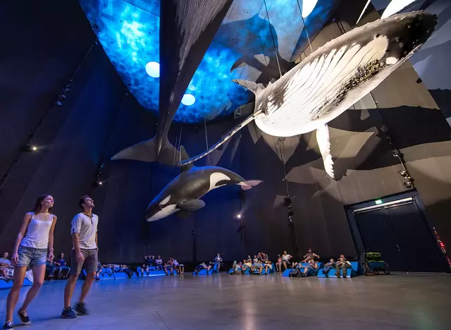 im Urlaub bei Stralsund in Vorpommern einen Ausflug ins Ozeaneum machen