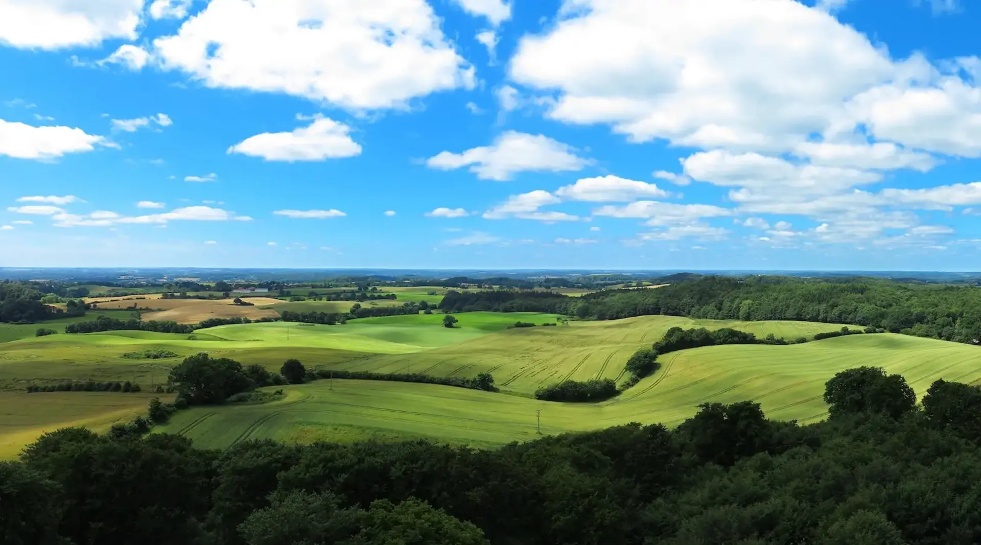 Holsteinische Schweiz Bauernhof – Urlaub auf dem Land mit Panoramablick - © Wilm Ihlenfeld, AdobeStock Eine hügelige grüne Landschaft mit Feldern, Wäldern und weitem Horizont in der Holsteinischen Schweiz steht für einen Bauernhof Urlaub auf dem Land.