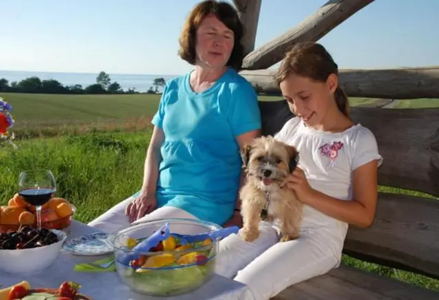 Mit Oma und Hund ein Picknick mit regionalem Produkten genießen. Der Blick auf die Ostsee rundet den Tag ab.