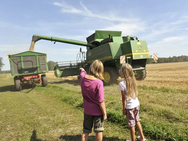 Urlaub auf dem Bauernhof: Kinder entdecken Mähdrescher bei der Ernte