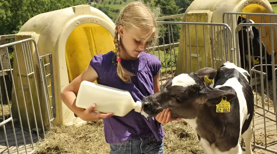 Urlaub auf dem Bauernhof: Tiere streicheln und füttern