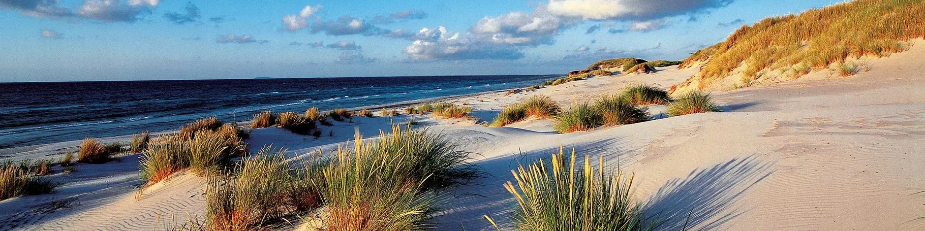 im Urlaub Fischland-Darß-Zingst entdecken und am Strand spazieren