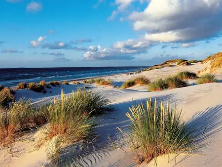 im Urlaub Fischland-Darß-Zingst entdecken und am Strand spazieren