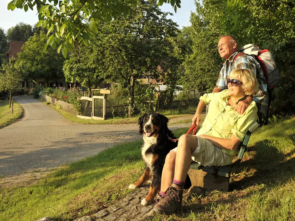 Urlaub mit Hund - Pause beim Wandern mit dem Hund