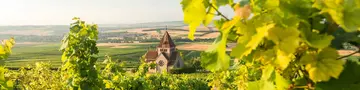 Blick auf die Kreuzkapelle bei Gau-Bickelheim - © Dominik Ketz, RPT im Urlaub am Weingut in Rheinhessen eine Weinbergwanderung zur Kreuzkapelle auf dem Wißberg von Gau-Bickelheim machen