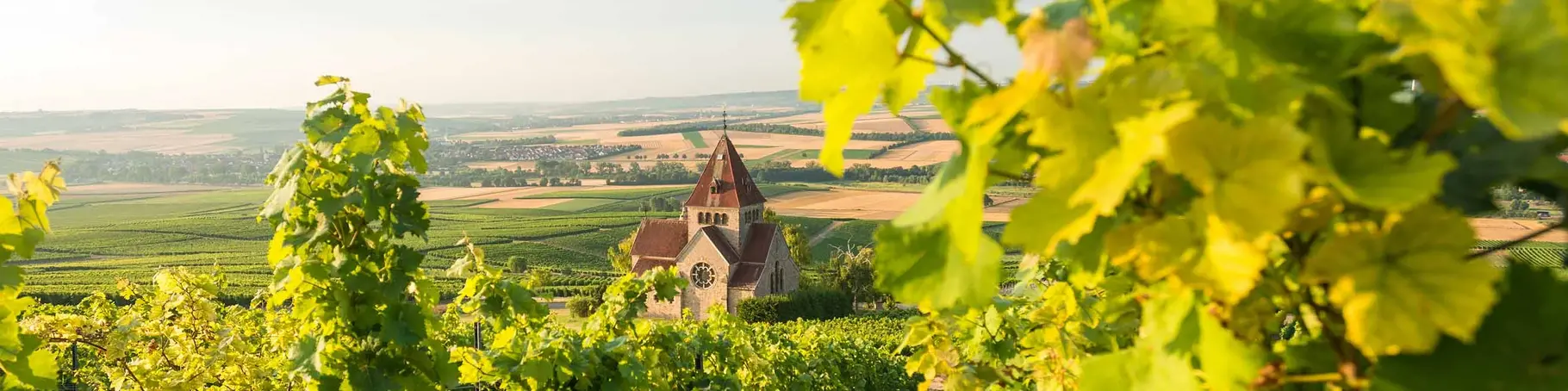 im Urlaub am Weingut in Rheinhessen eine Weinbergwanderung zur Kreuzkapelle auf dem Wißberg von Gau-Bickelheim machen