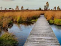 Hohe Venn in der Eifel - © Pixabay.com, Hochmoor Hohe Venn an der Grenze zwischen Belgien und Deutschland