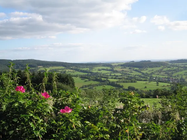 Blick auf die Vulkanlandschaft Hoher Vogelsberg