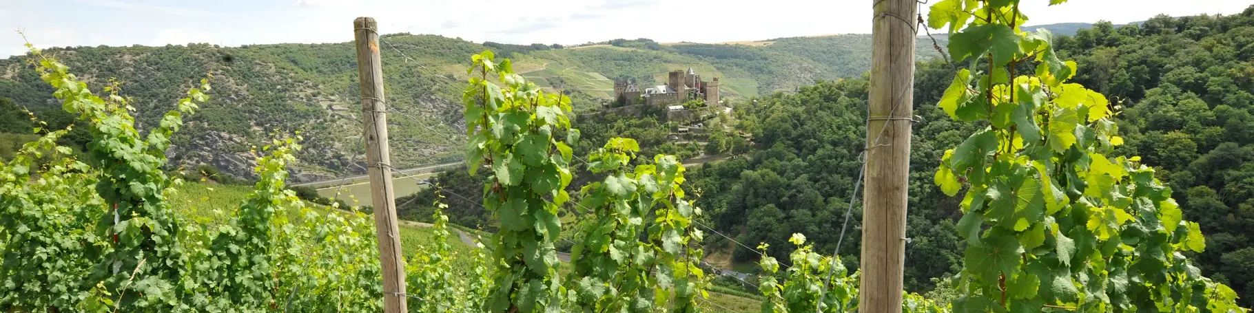 Blick auf die Burg im Mittelrheintal