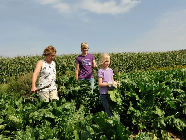 Familie auf Zuckerrübenfeld