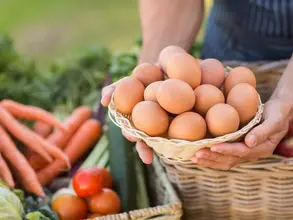 Eier und Gemüse auf dem Biohof einkaufen - © WavebreakMediaMicro, Fotolia.com im Urlaub auf dem Bauernhof frisches Gemüse und Eier im Bioladen einkaufen