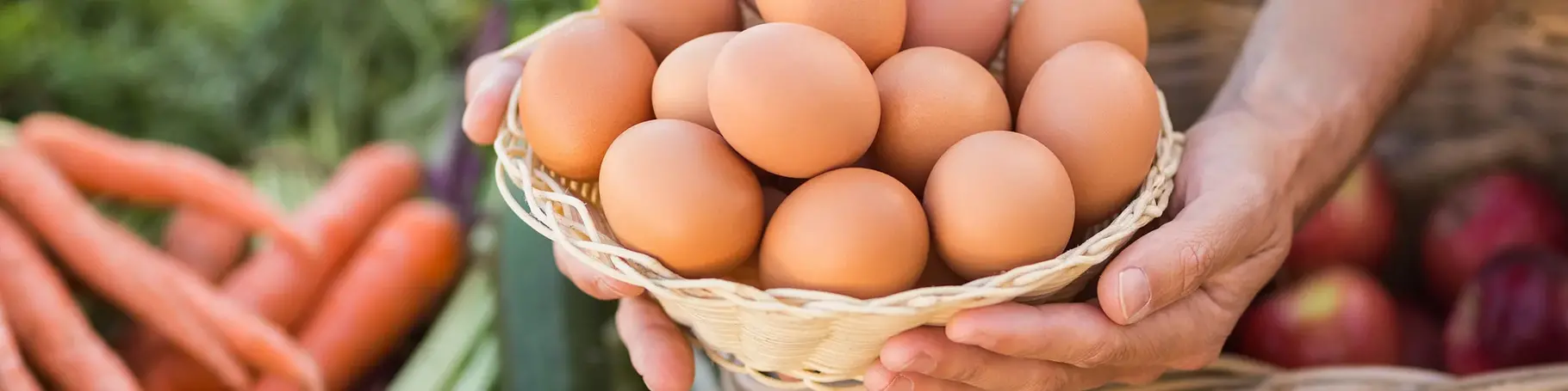 im Urlaub auf dem Bauernhof frisches Gemüse und Eier im Bioladen einkaufen