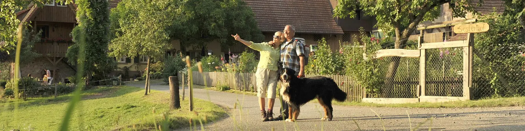 im Urlaub mit Hund im Schwarzwald Wanderungen unternehmen