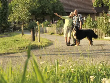 im Urlaub mit Hund im Schwarzwald Wanderungen unternehmen