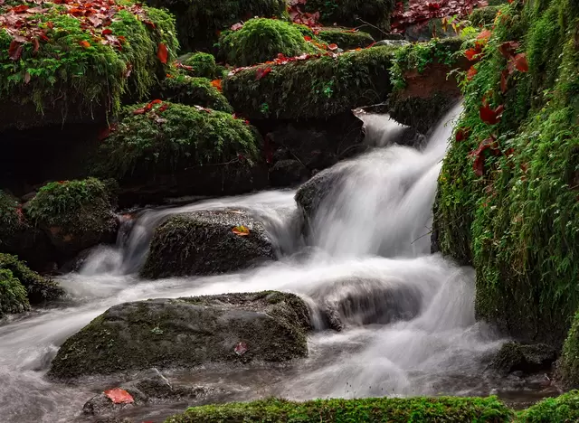 Im Urlaub auf dem Bauernhof im Silberbachtal im Naturpark Teutoburger Wald wandern.