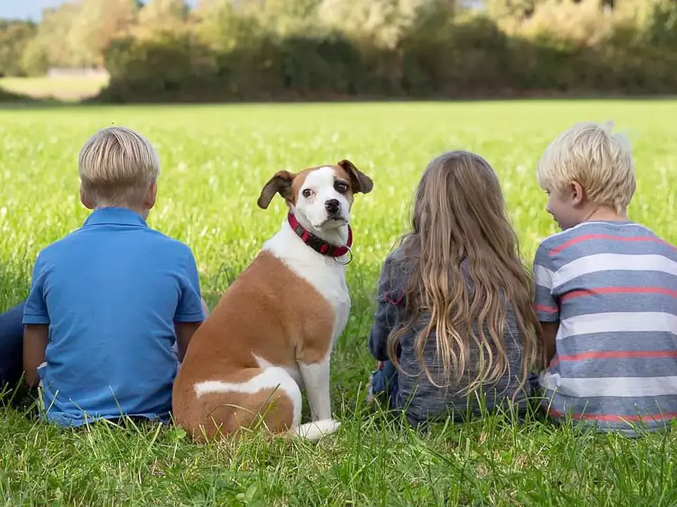 Kinder mit Hund auf der Wiese - © Urlaub auf dem Bauernhof SH e.V., Timon Suhk im Urlaub in Schleswig-Holstein andere Kinder kennlernen und spielen