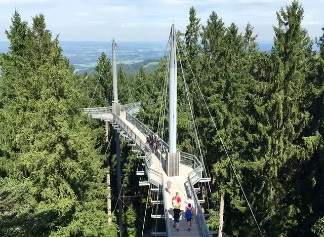 im Urlaub auf dem Bauernhof im Allgäu den skywalk Naturerlebnispark besuchen