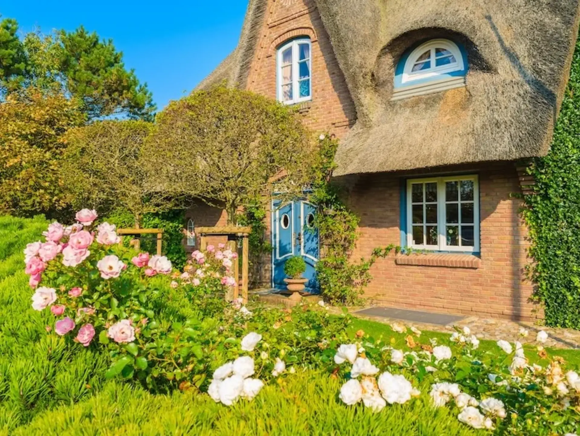 Friesisches Ferienhaus mit Reetdach in der Natur von Sylt - © pkazmierczak, adobe stock Typisches friesisches Ferienhaus mit Reetdach steht inmitten der Natur im Dorf Kampen auf Sylt, umgeben von Heideflächen und norddeutscher Küstenlandschaft.