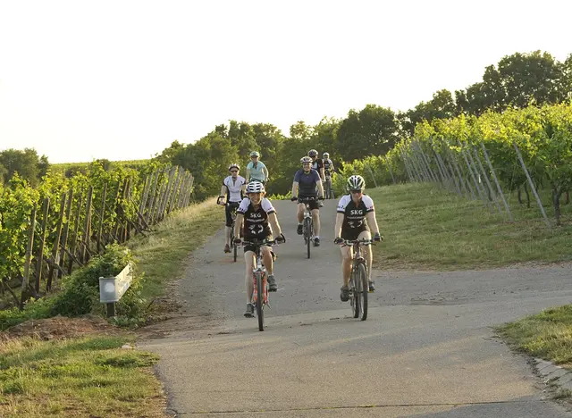 mit Freunden eine geführte Radtour auf dem Moselradweg unternehmen