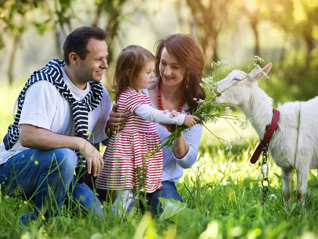 Familien mit Kindern verbringen einen erlebnisreichen Urlaub auf dem Kinderbauernhof und entdecken die Hoftiere