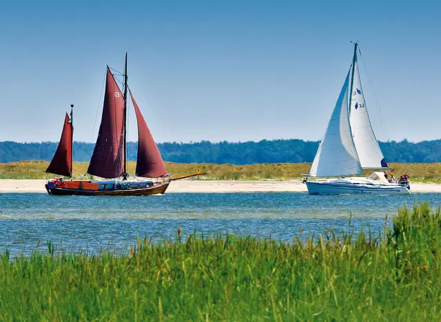 im Urlaub in Vorpommern eine Schifffahrt mit dem Zeesenboot auf dem Bodden machen