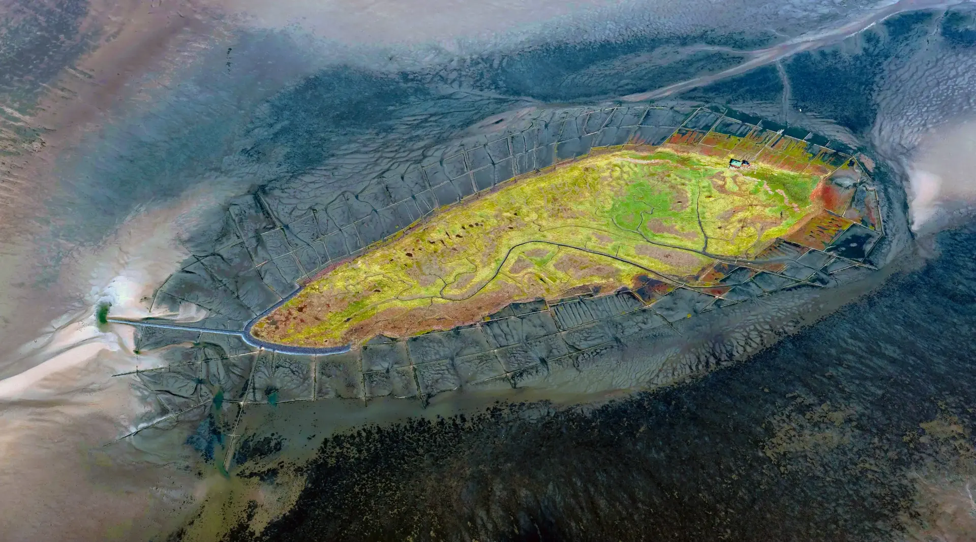 Hallig Norderoog im Friesischen Wattenmeer - © Aufwind-Luftbilder, Adobe Stock Die unbewohnte Hallig Norderoog im Wattenmeer von oben