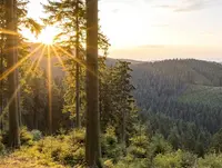 Aussicht am Rothaarsteig ins Sauerland - © Rothaarsteigverein e.V., Klaus-Peter Kappest beim Wandern auf dem Rothaarsteig im Sauerland eine herrliche Aussicht genießen