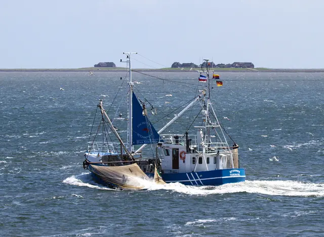 im Urlaub in Nordfriesland frischen Fisch vom Krabbenkutter kaufen