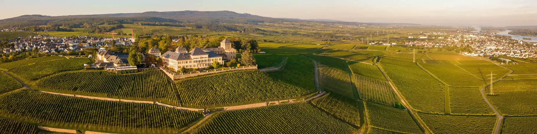 Luftaufnahme mit Drohne im Rheingau bei den Weinbergen von Schloss Johannisberg zwischen Eltville und Rüdesheim am Rhein, Hessen 