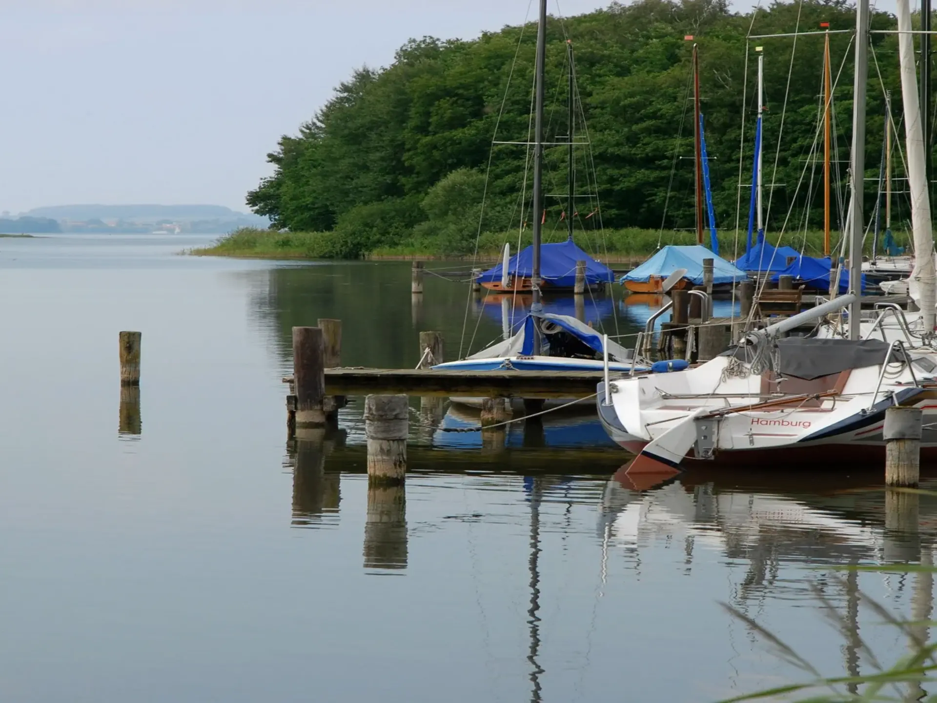 Segelboote auf dem Großen Plöner See in der Holsteinischen Schweiz in Schleswig-Holstein