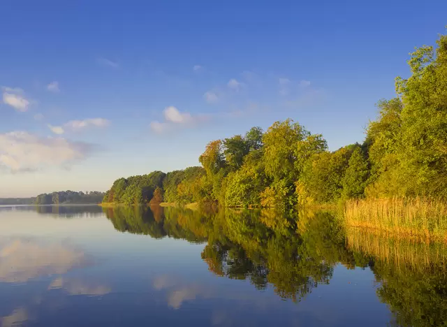 im Urlaub die Mecklenburgische Seenplatte entdecken und mit dem Ranger den Müritz Nationalpark besuchen