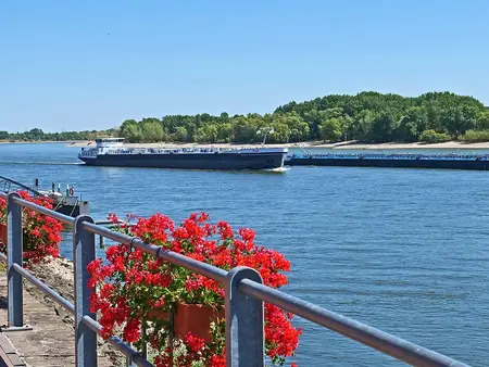 im Urlaub am Niederrhein die Schiffe auf der Rheinpromenade in Rees bestaunen