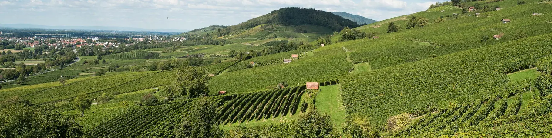 Familienurlaub im Odenwald und an der hessischen Bergstraße zwischen Rhein, Main und Neckar.