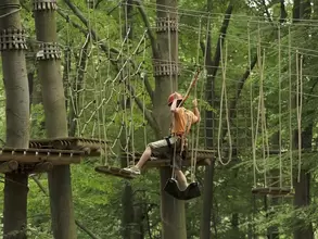 Tagung im Hochseilgarten - © Landsichten.de, Susanne Mölle Teambuildingim Hochseilgarten und Seminare auf dem Land