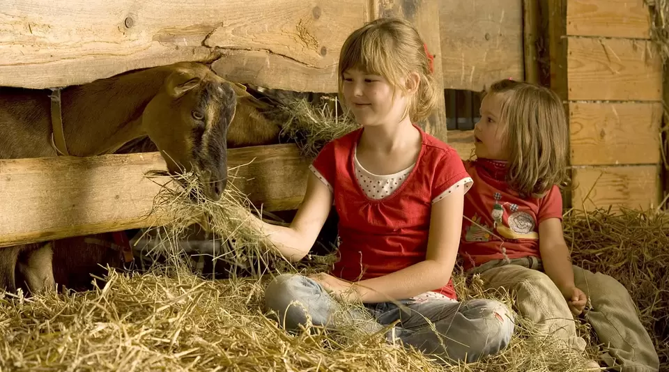 Urlaub auf einem Qualitätsgeprüften Kinderhof um Tiere zu erleben