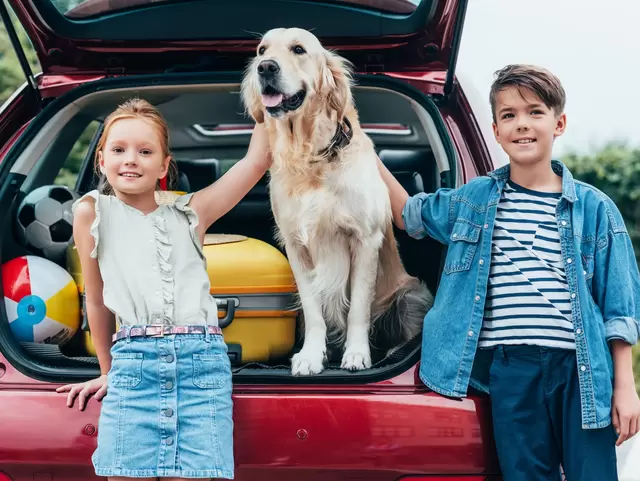 Kinder verreisen mit Hund