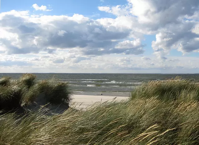 im Urlaub in Vorpommern einen Ausflug zum Strand an den Bodden machen