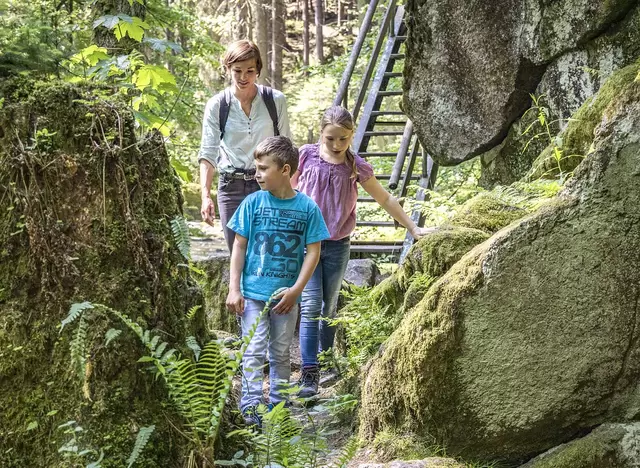 im Urlaub auf dem Bauernhof in der Oberpfalz im Waldnaabtal wandern