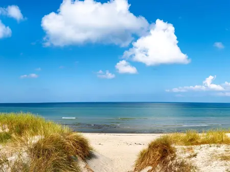 Blick zwischen Strandhafer auf den Strand und die Ostsee