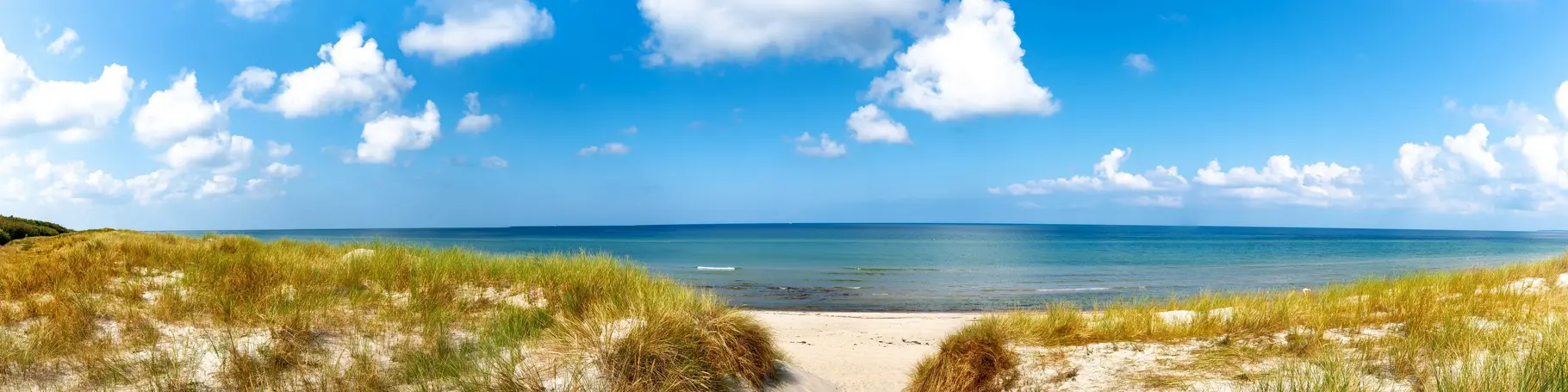 Blick zwischen Strandhafer auf den Strand und die Ostsee