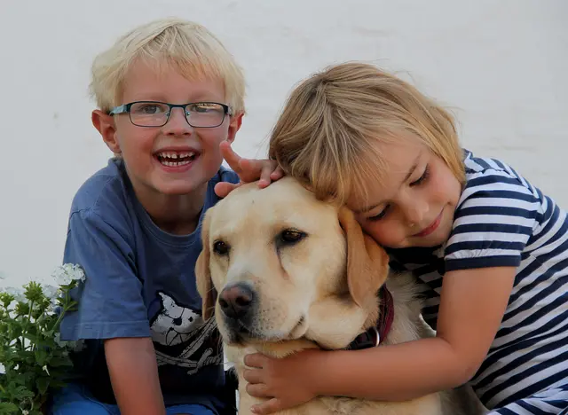 im Urlaub auf dem Kinderhof in Schleswig-Holstein mit den Hoftieren kuscheln