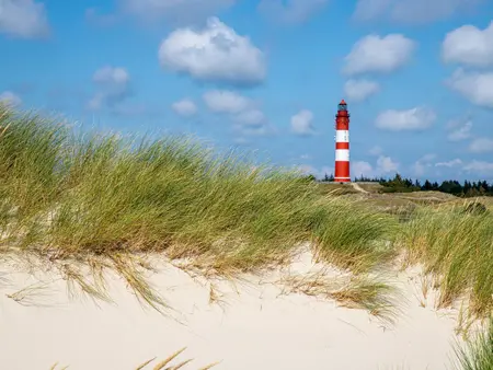 Blick zum Amrumer Leuchtturm aus den Dünen