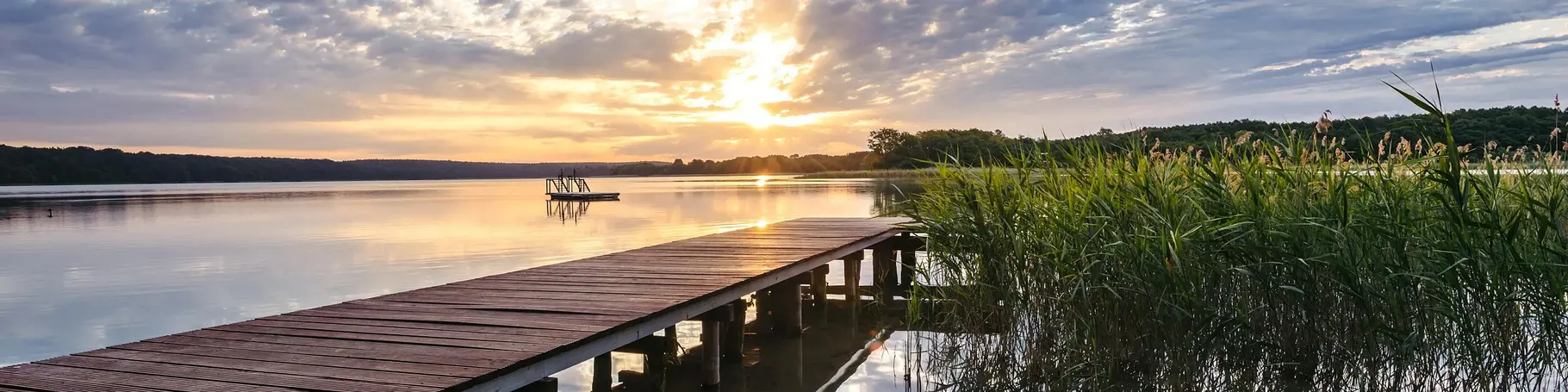 im Urlaub an der Mecklenburgischen Seenplatte die Aussicht auf den See genießen