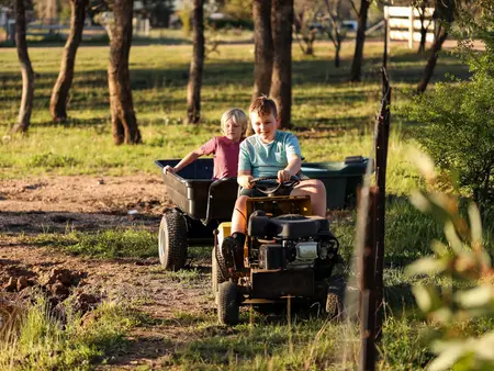 Zwei Jungs die glücklich auf einem Tretttraktor fahren. Der zweite Junge lässt sich in einem Anhänger durch die Natur ziehen.