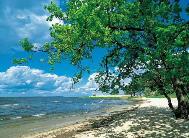 im Urlaub auf dem Bauernhof in Vorpommern im Seebad Ueckermünde am Strand Sonne tanken