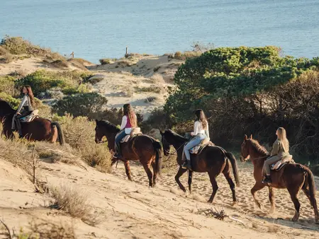 Vier junge Reiterinnen auf einem Fuchs und einem Braunen reiten über einen sandigen Hügel, umgeben von grünen Büschen und Nadelbäumen, mit Blick auf das blaue Meer an einem sonnigen Sommertag.